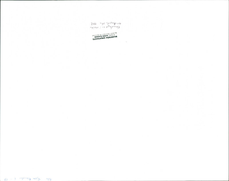 RETURS ALANDART RIERA BILDBYRAN DICHA GREENHOTS - Vintage Photograph