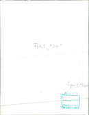 Fiat 124 - Vintage Photograph