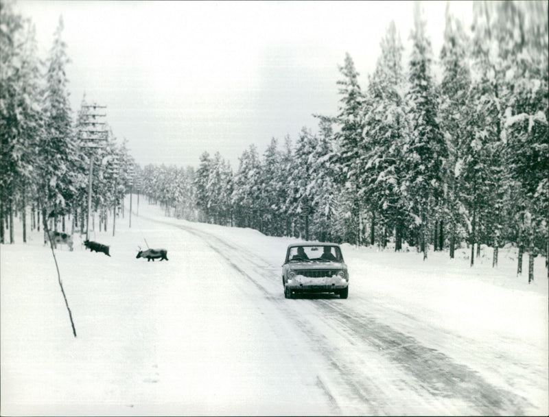 Fiat 124 - Vintage Photograph