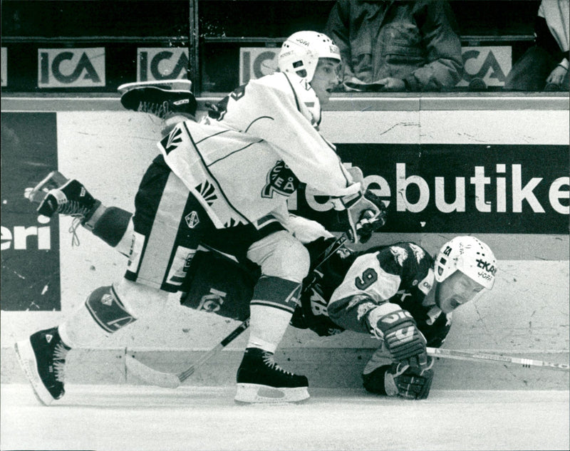 Johan Törnqvist, Björklöven - Vintage Photograph