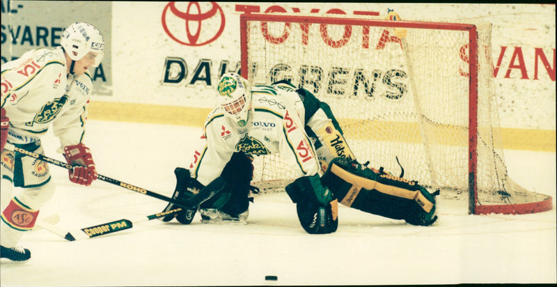 Jörgen Wikström, Björklöven - Vintage Photograph