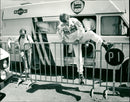 Mikael Ericsson, Lancia-Martini VM-rally - Vintage Photograph