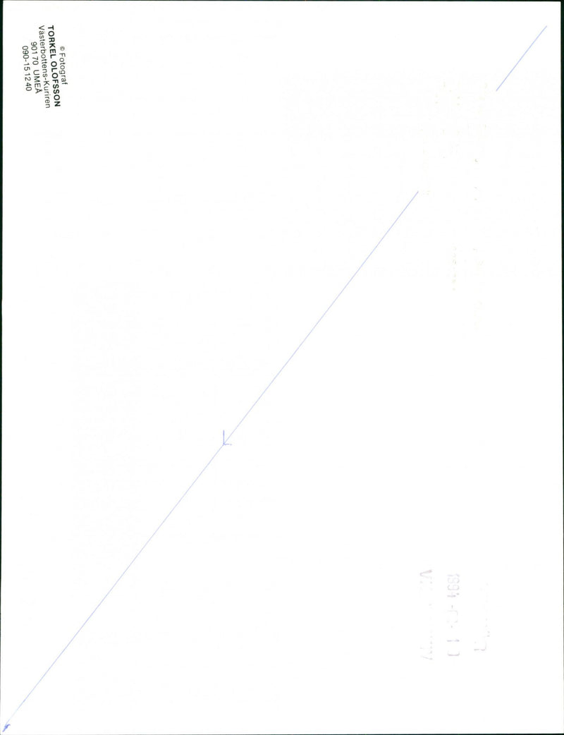 1994 MUSICIAN VASTERBOTTEN'S COURIER UMEA - Vintage Photograph