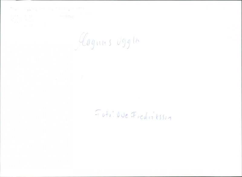 MUSIC PERSONS OWL CAGUAS PHOTO OVE FREDRIKSSON - Vintage Photograph