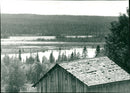 Myrträsket Lycksele - Vintage Photograph