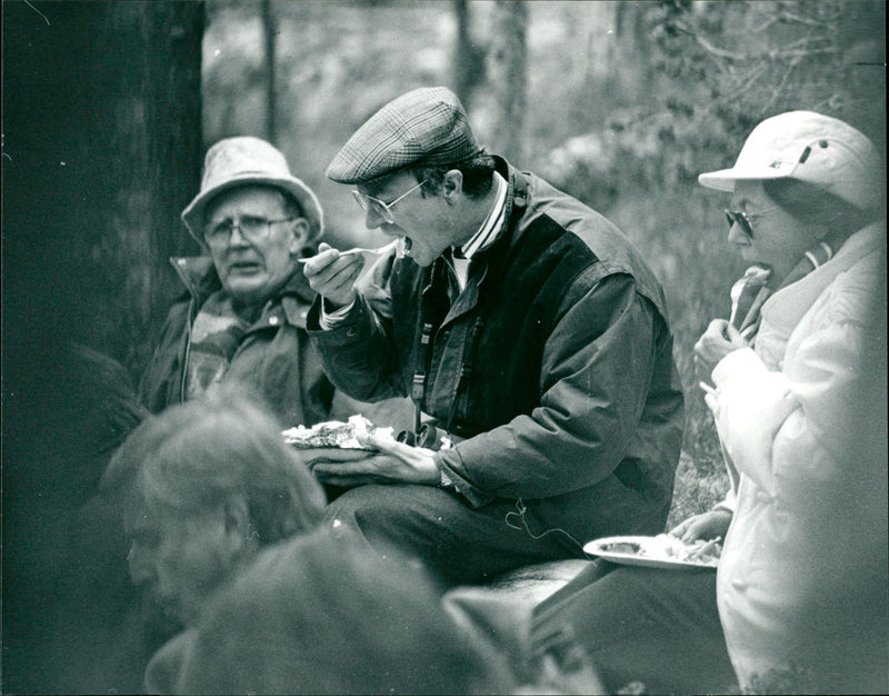 1991 NATURE RESERVE NATIONAL ELIN REMEMBERED CAUL INVISION PARK BIOMLANDET JON SVEN - Vintage Photograph