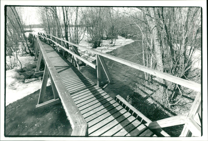 Bro över bäck i Brånsjön naturreservat - Vintage Photograph