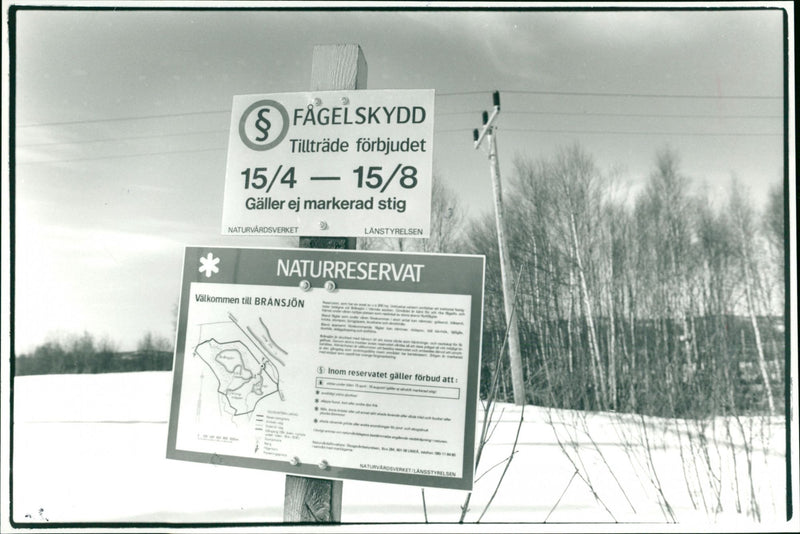 Skyltar Fågelskydd Naturreservat vid Brånsjön - Vintage Photograph