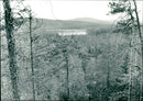 Björnlandet nationalpark - Vintage Photograph