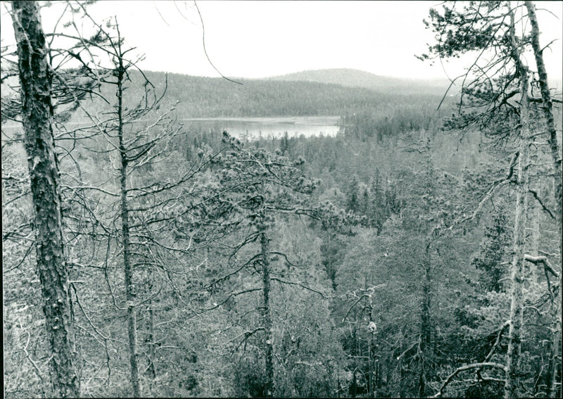 Björnlandet nationalpark - Vintage Photograph