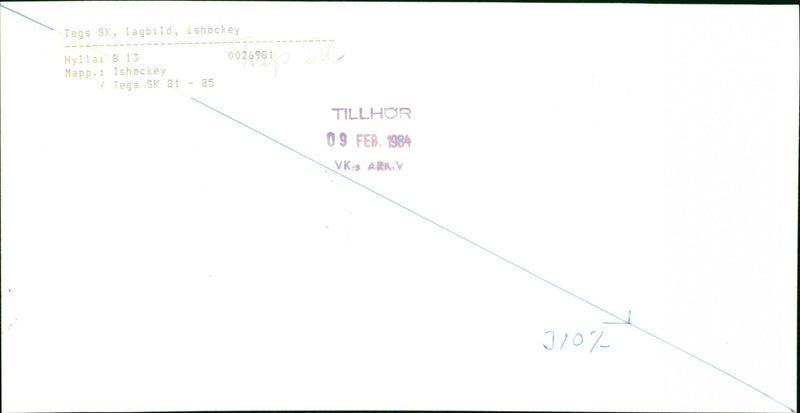 Ishockey. Tegs SK, lagbild 1984 - Vintage Photograph