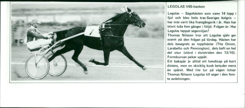Legolas - V65 - Vintage Photograph