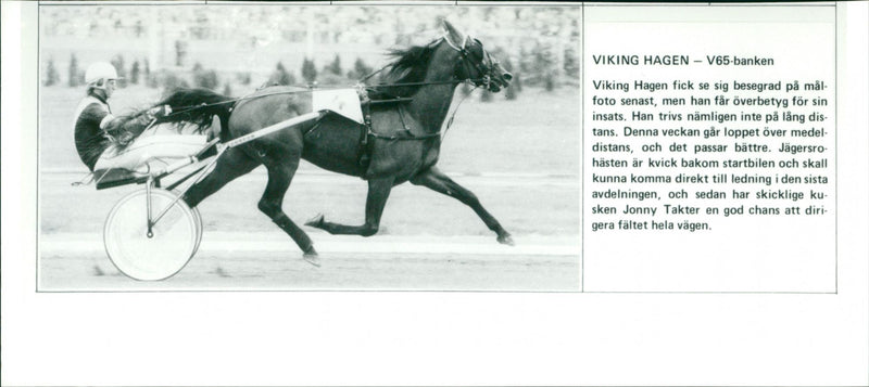 Viking Hagen - V65 - Vintage Photograph