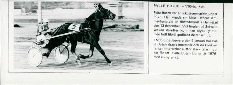 Palle Butch - V65 - Vintage Photograph