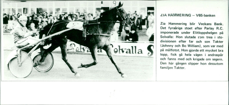 Zia Hammering - Vintage Photograph