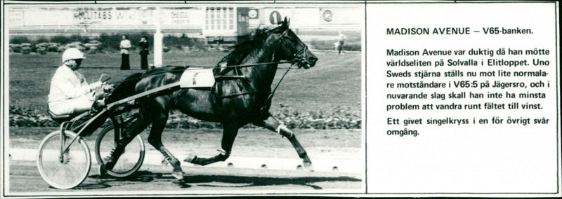 Madison Avenue - Vintage Photograph