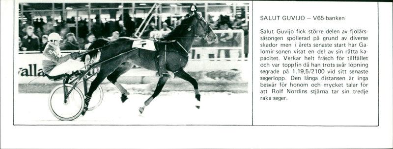 Salut Guvijo - V65-banken - Vintage Photograph