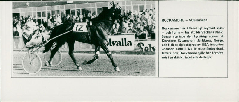 Rockamore - V65-banken - Vintage Photograph