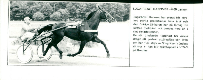 Sugarbowl Hanover - V65-banken - Vintage Photograph