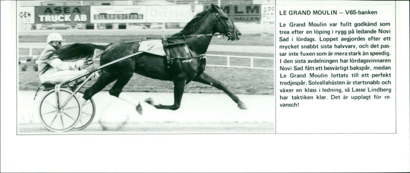 Le Grand Moulin - V65-banken - Vintage Photograph