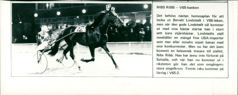Nibs Ribb - V65-banken - Vintage Photograph