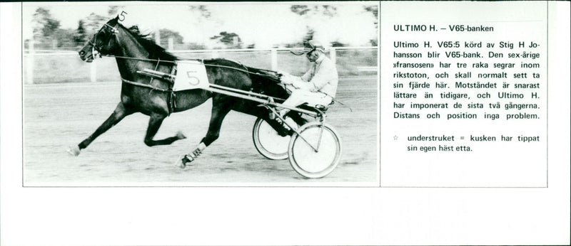 Ultimo H. - V65-banken - Vintage Photograph