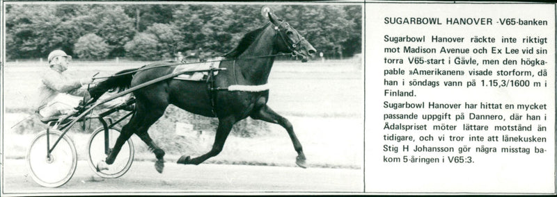 Sugarbowl Hanover - V65-banken - Vintage Photograph