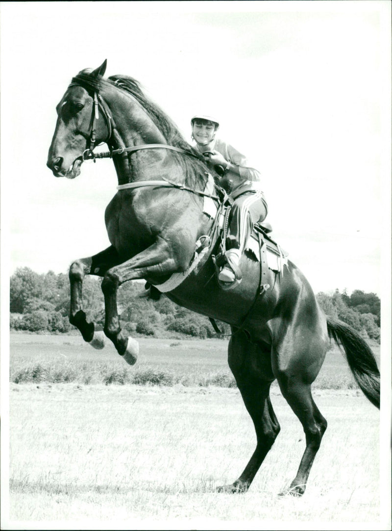 Noble Mou - Vintage Photograph