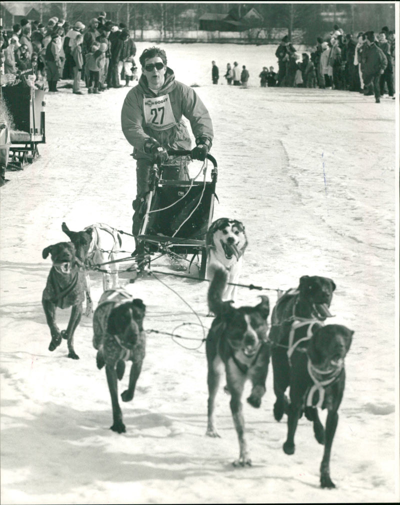 Vindelälvsdraget. Team Cirkelkaffe. Jan Svensson går i mål - Vintage Photograph