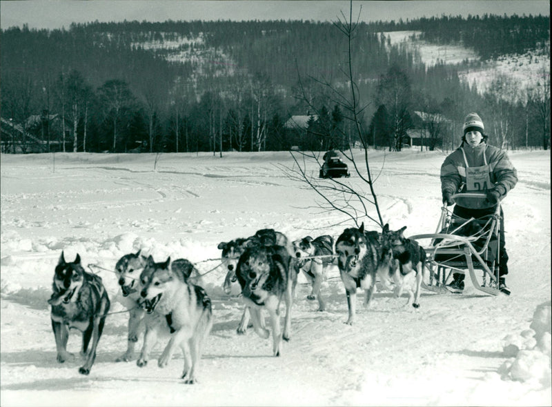 Vindelälvsdraget. Maria Lindqvist, Team Texaco - Vintage Photograph