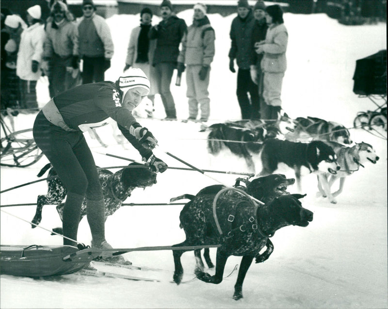 Vindelälvsdraget. Albert Falk - Vintage Photograph