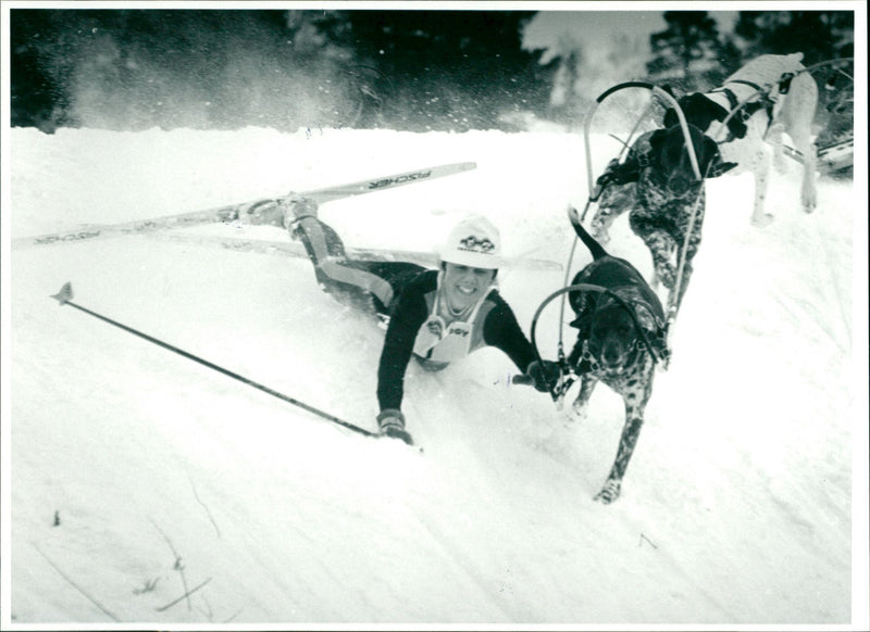 Vindelälvsdraget. Märet Östberg, DoggyAgria - Vintage Photograph