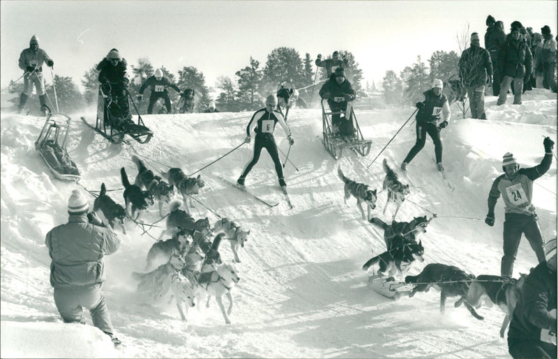 Vindelälvsdraget 1988 - Vintage Photograph