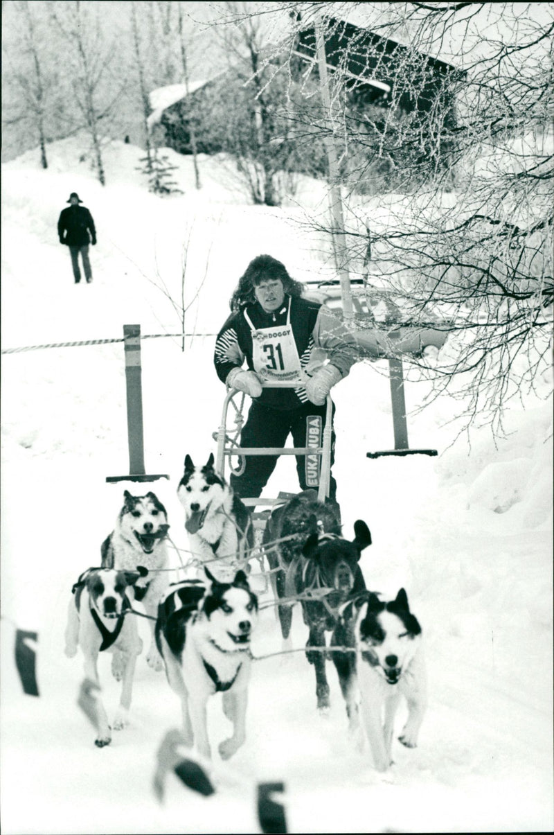 Vindelälvsdraget. Birgitta Holmgren, Kebnekaise - Vintage Photograph