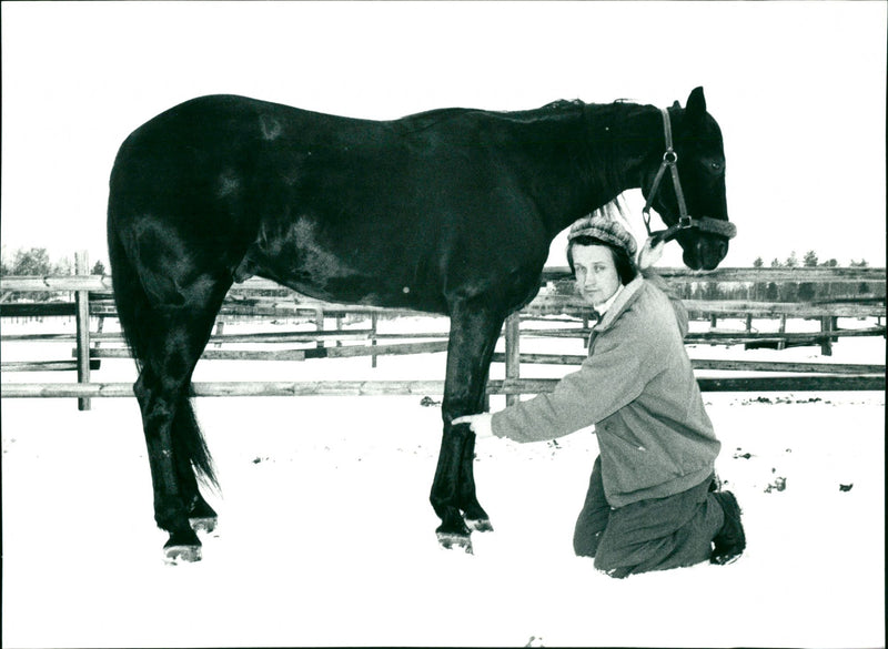Anders Lindqvist, travtränare med hästen Lasse Scott - Vintage Photograph