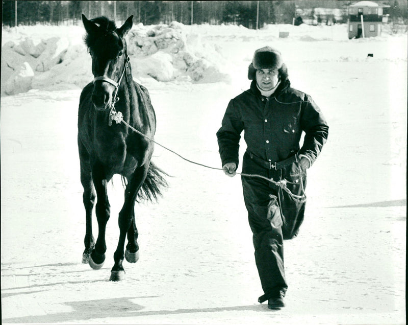 Travsport, travhäst med tränare, vinterbild - Vintage Photograph