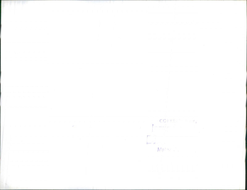 Model in the Car - Vintage Photograph