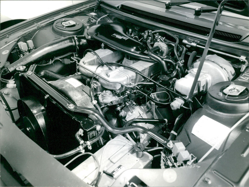 Peugeot 604 TI - Vintage Photograph