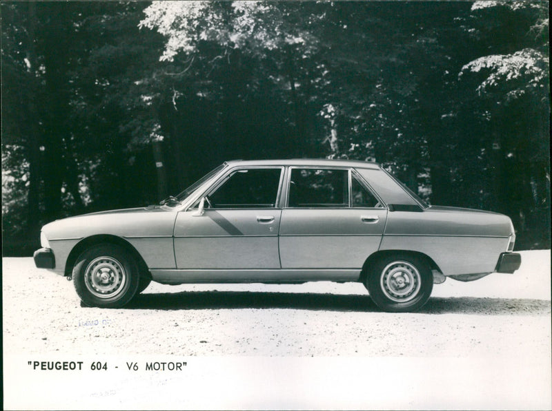 Peugeot 604 - Vintage Photograph