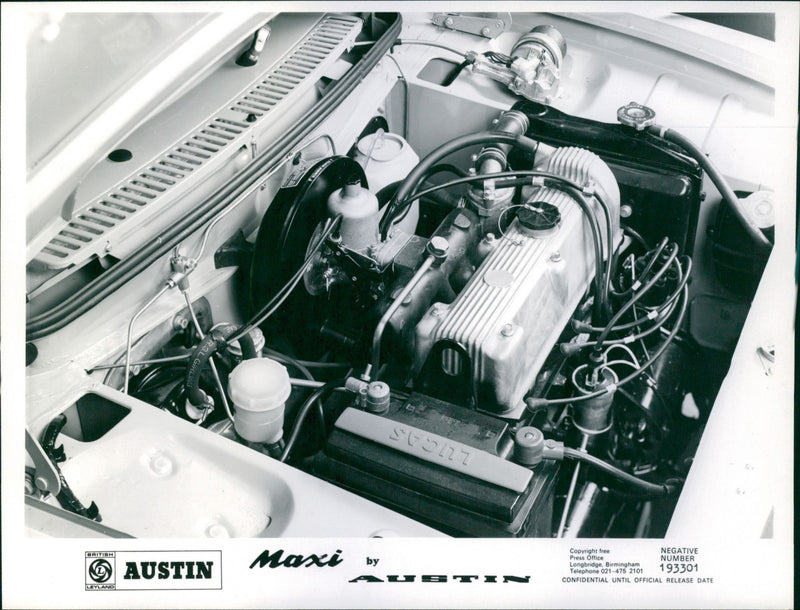 Austin Maxi - Vintage Photograph