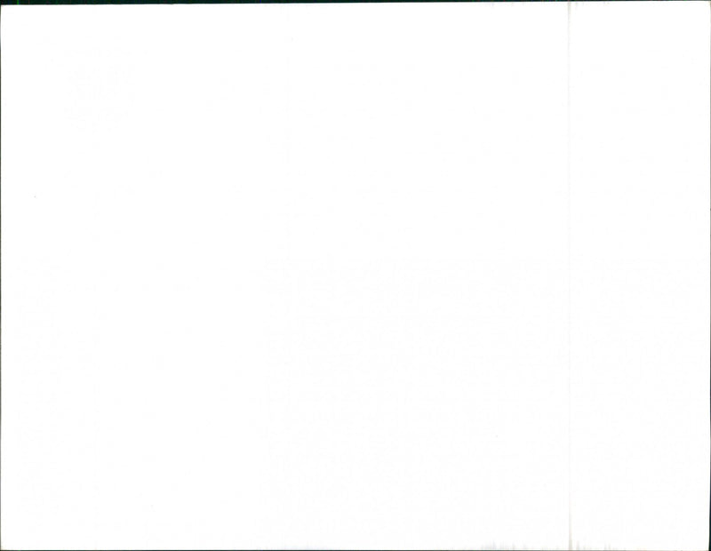 Lancia Beta - Vintage Photograph