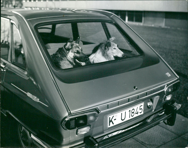 Renault 16 - Vintage Photograph