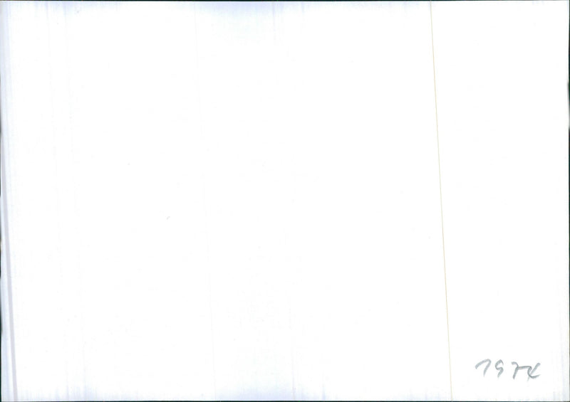 Datsun 180B - Vintage Photograph