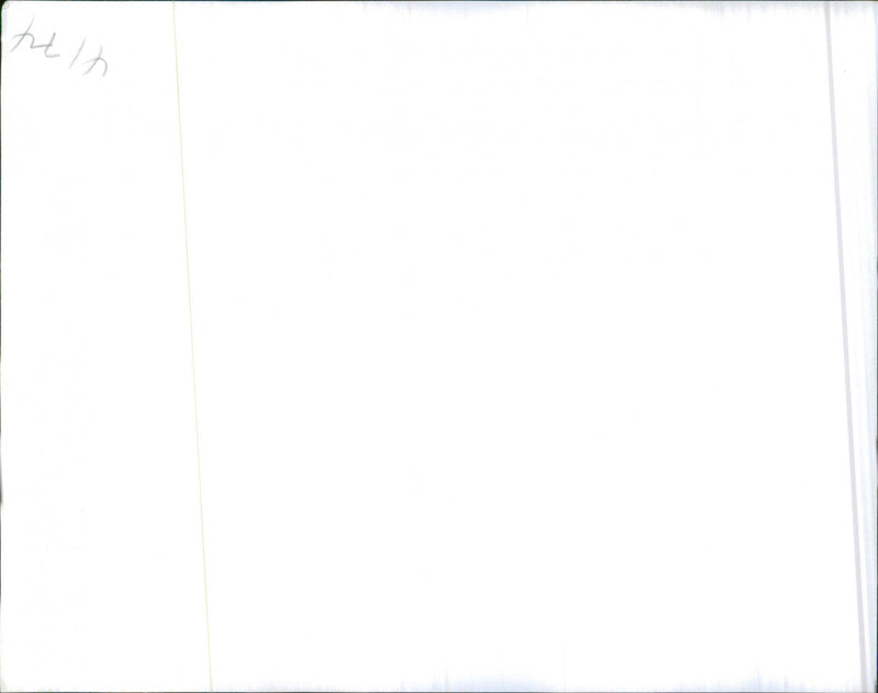 Datsun 180B - Vintage Photograph