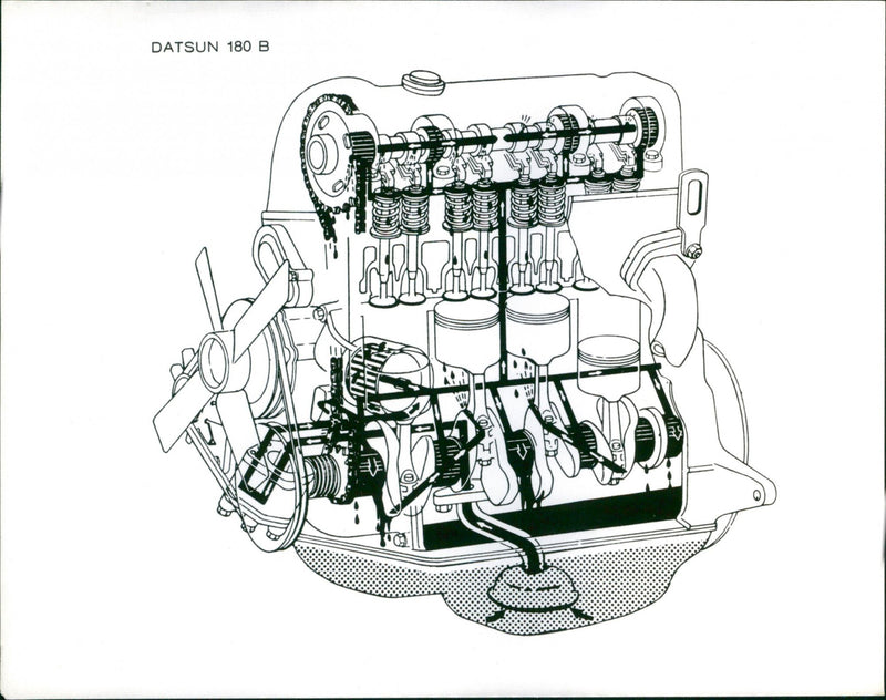 Datsun 180B - Vintage Photograph