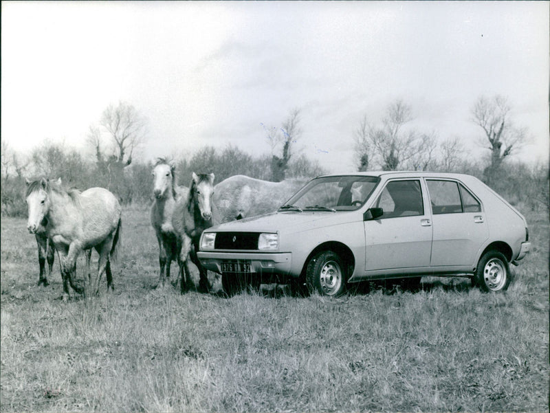 Renault 14 - Vintage Photograph