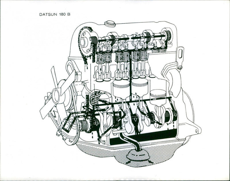 Datsun 180B - Vintage Photograph