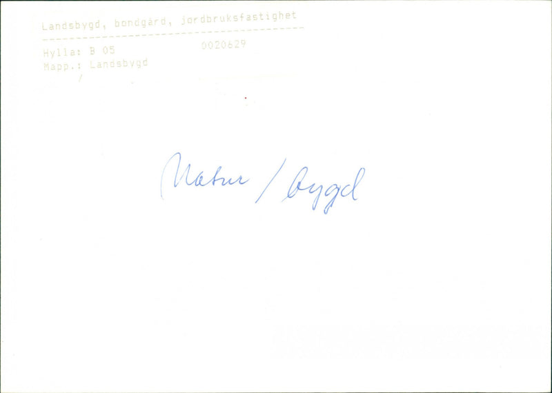 RURAL PROPERTY RURAL NATURERURAL AGRICULTURAL FARM GARDEN - Vintage Photograph