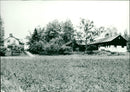 RURAL PROPERTY RURAL NATURERURAL AGRICULTURAL FARM GARDEN - Vintage Photograph