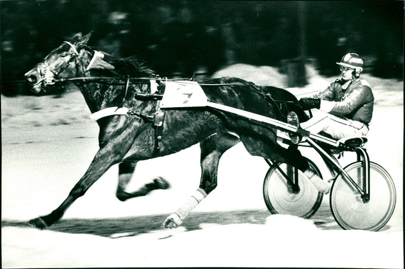 Jan-Erik Eriksson med hästen Eliza Broline - Vintage Photograph